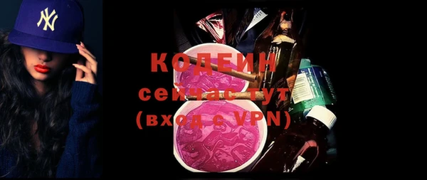 хмурый Инта