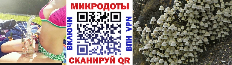 Купить закладки  Алагир  Псилоцибиновые грибы Magic Shrooms 